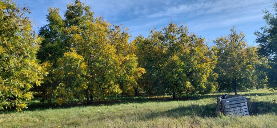 Commercial Property for Sale in Jan Kempdorp Rural Northern Cape